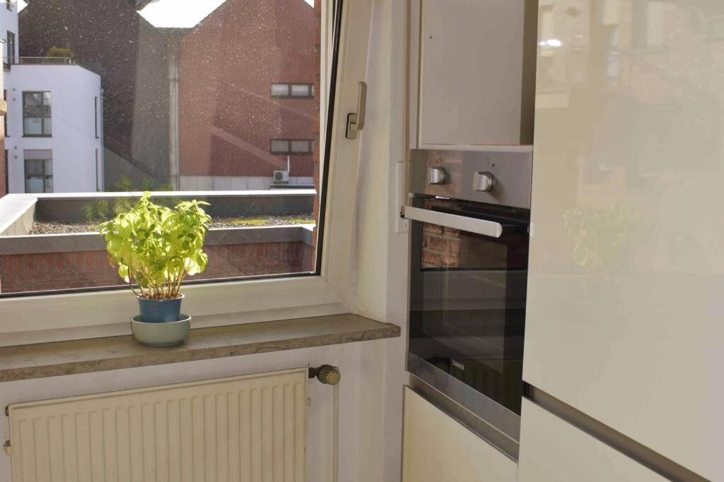 Leben An Der Ems. Apartamento Rheine Exterior foto